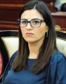 Sevinc Fətəliyeva: "Müstəqil siyasət həyata keçirən dövlətlərə mütəmadi təzyiqlər olur"