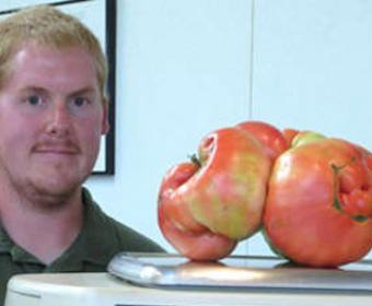 Dünyanın ən böyük pomidoru