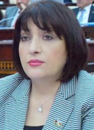 “Neftin ucuzlaşması büdcə öhdəliklərinin yerinə yetirilməsinə mane olmayacaq”