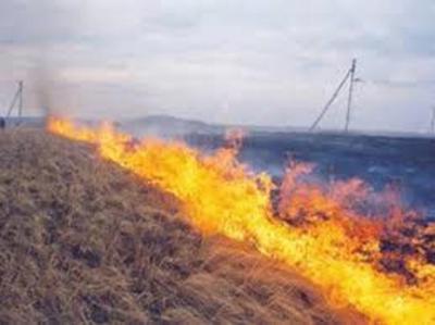 Ermənilər işğal etdikləri Azərbaycan ərazilərində yanğın törədiblər