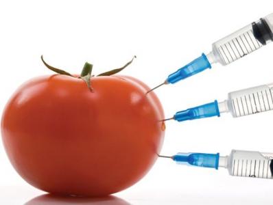 GMO məhsullara nəzarət gücləndirilib