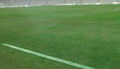 Respublika stadionunun qazonu rəngləndi