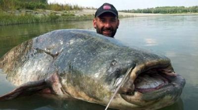 İtalyan balıqçı 120 kiloluq naqqa balığı tutdu