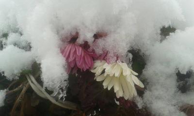 Şimal-qərb bölgəsinə 1 metrdən artıq qar yağıb