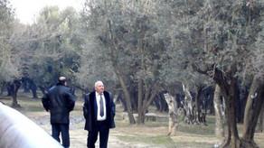 ​Akif Çovdarovun apellyasiya şikayətinə baxılıb