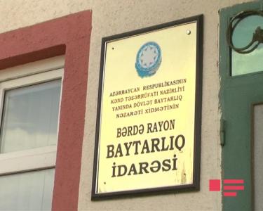Bərdədə heyvanlar arasında dabaq virusu yayılıb