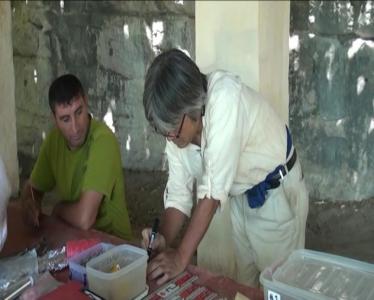 Damcılı mağarasında neolit dövrünə aid alətlər aşkarlanıb