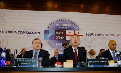 “Gürcüstan NATO üzvlüyünə hazırlıq üçün bütün praktik mexanizmlərə malikdir”