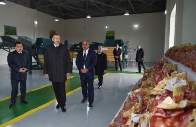 İlham Əliyev “Birinci Şıxlı” kəndli fermer təsərrüfatının təqdimatında