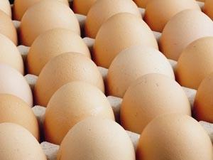 Yumurtanın qiyməti yenə qalxdı (VİDEO)
