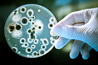 Antibiotiklərin təsirinə dayanıqlı bakteriyalar tapıldı