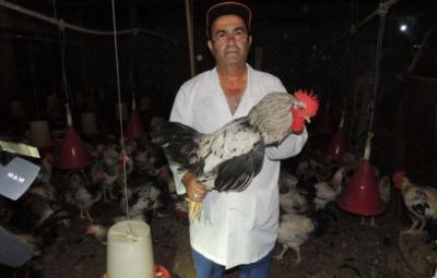 Azərbaycana məxsus ev quşu cinsi yaradıldı