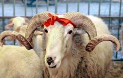 Qurban bayramı qeyd olunur