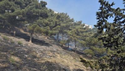 Şahdağ Milli Parkının ərazisində yanğın söndürüldü