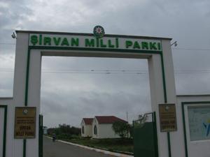 Şirvan Milli Parkında yanğın başlayıb- <b style="color:red">Yenilənib</b>