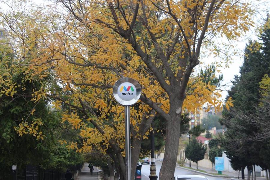 "Bakı metropoliteni": "Bu gün qatarların hərəkəti bərpa edilməyəcək"<b style="color:red"></b>