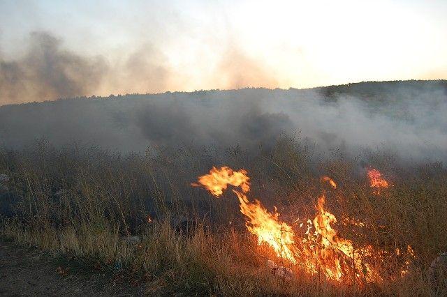 ETSN: "Yardımlıda baş verən yanğın lokallaşdırılır"<b style="color:red"></b>
