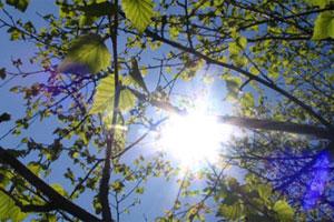 Hava meteohəssas insan üçün əlverişsiz olacaq<b style="color:red"></b>