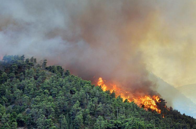 Hirkan Milli parkında baş verən yangın söndürüldü - <b style="color:red">Yenilənib </b>