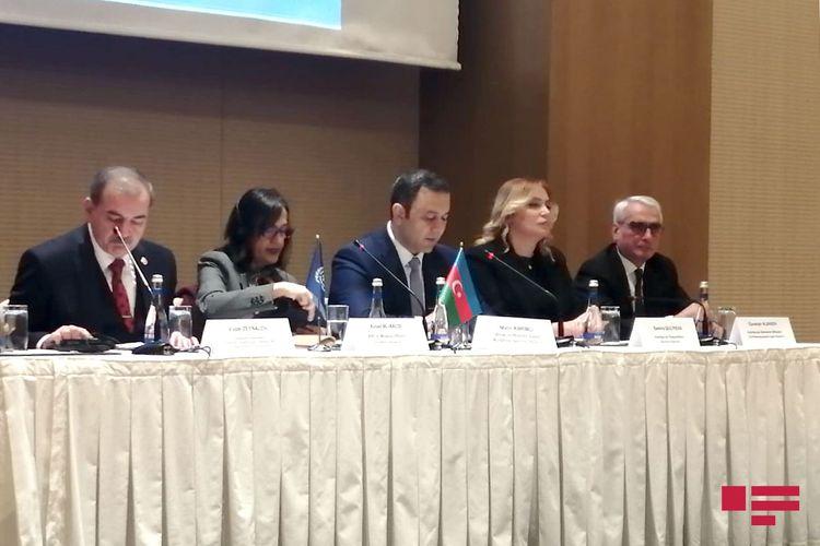 “Azərbaycan Beynəlxalq Əmək Təşkilatı üçün regionda uğur nümunəsidir”<b style="color:red"></b>