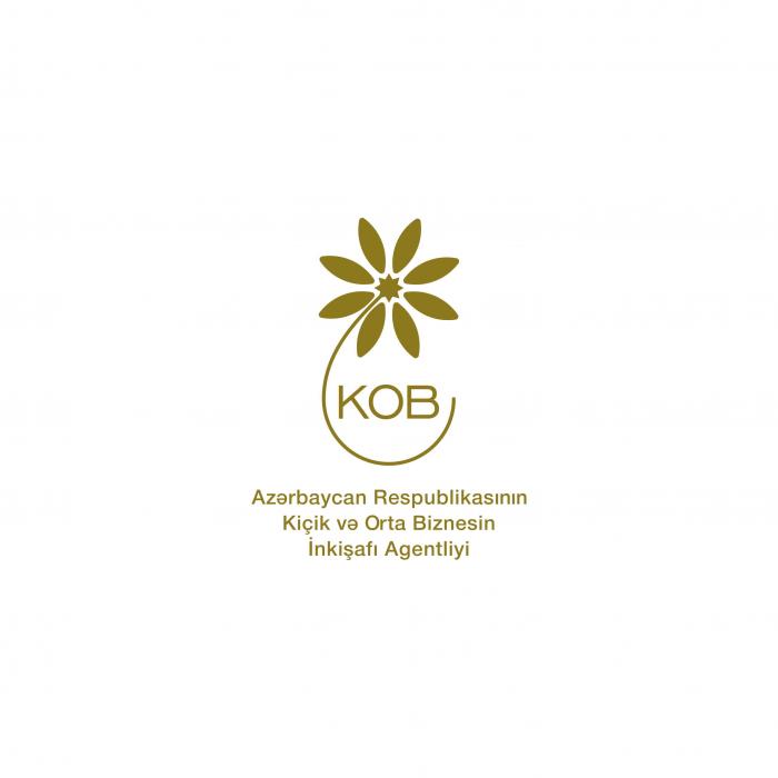 Pandemiyadan zərər çəkmiş sahibkarlar onlayn məlumatlandırılır<b style="color:red"></b>