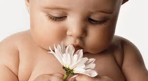 Abort edən həkimlər cinayət məsuliyyətinə cəlb olunacaq<b style="color:red"></b>