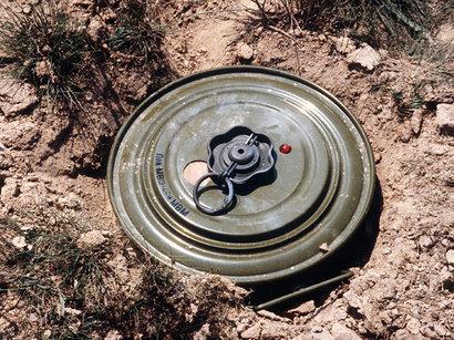 Qəbələ RLS-in ərazisində 6 mina tapılıb<b style="color:red"></b>