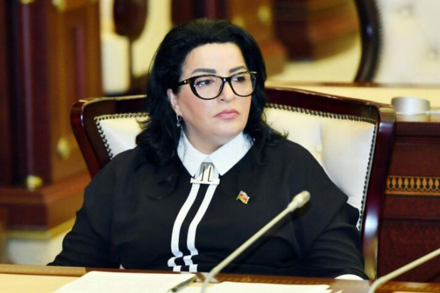 "Oxçuçayın çirklənməsi Araz çayının keyfiyyətinə də birbaşa təsir göstərir"