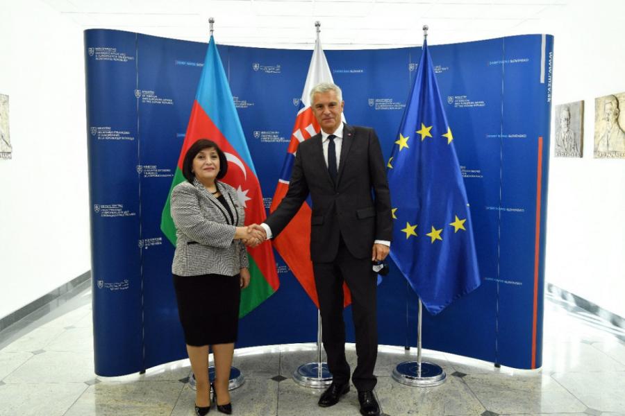 Sahibə Qafarova Slovakiyanın XİN rəhbəri ilə görüşüb