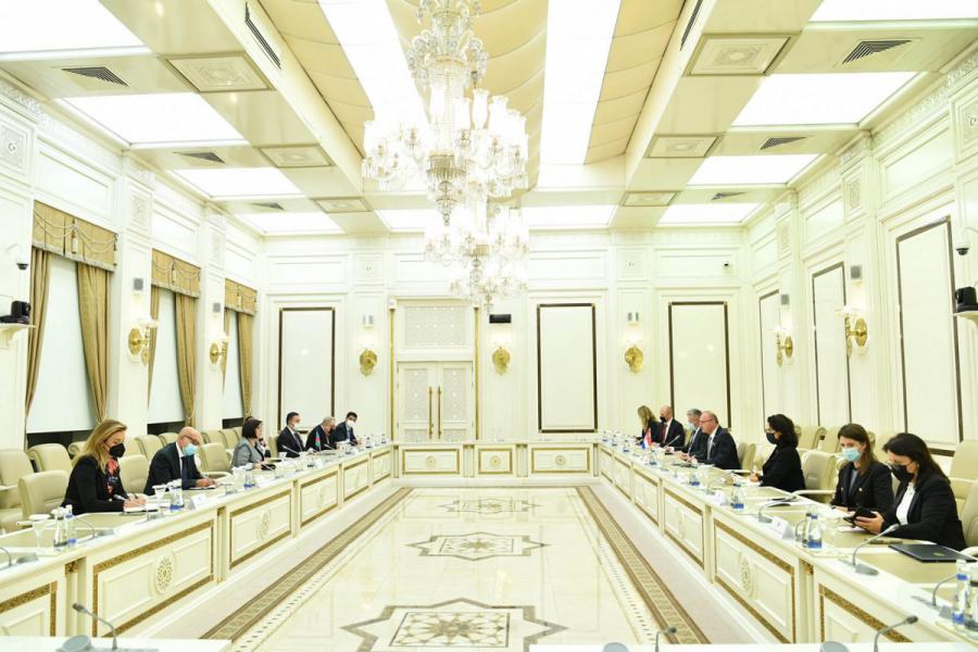 Milli Məclisin sədri Xorvatiya Xarici və Avropa İşləri naziri ilə görüşüb