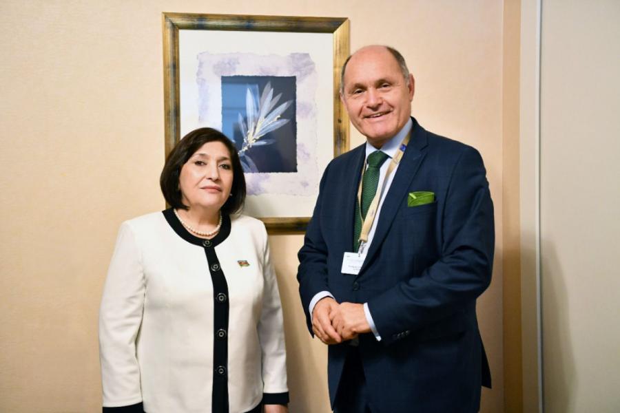 Sahibə Qafarova Avstriya Parlamenti Milli Şurasının sədri ilə görüşüb