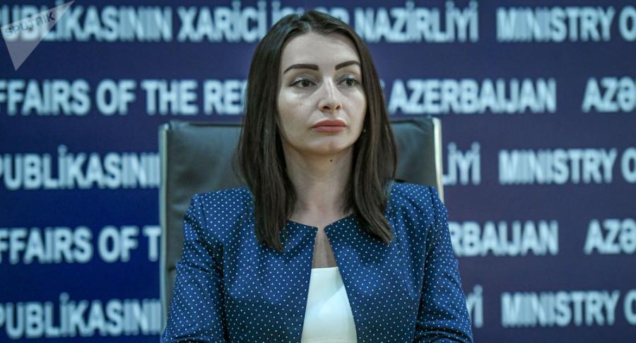 Leyla Abdullayeva bir sıra məsələlərə aydınlıq gətirib