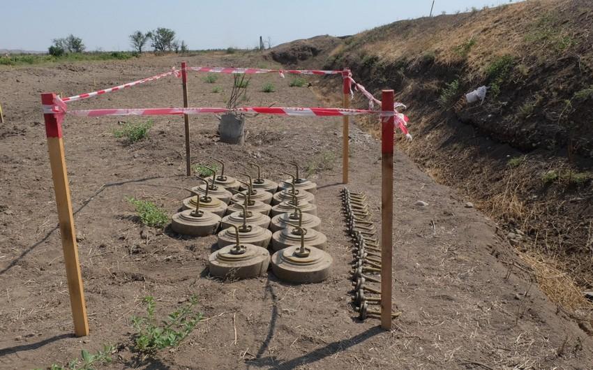 Azad edilən ərazilərdə daha 67 hektar ərazi minalardan təmizlənib