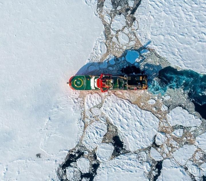"David Attenborough" gəmisi Antarktidaya səyahət edib -  Foto 