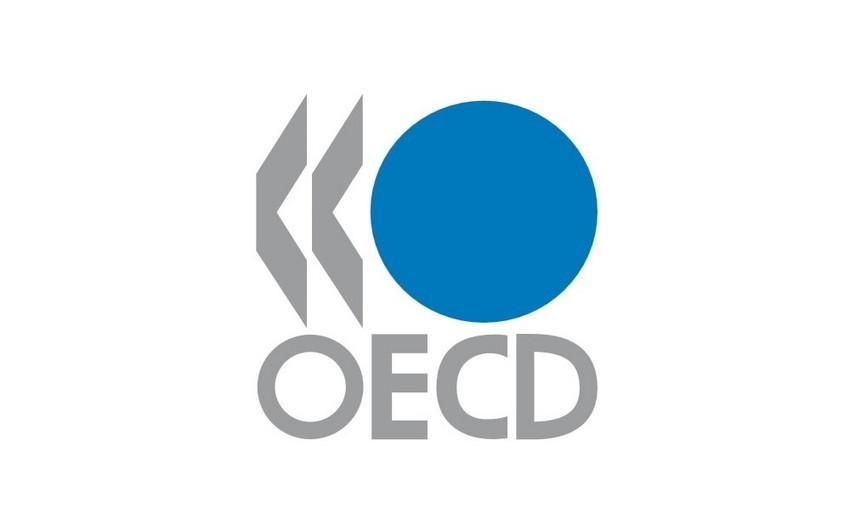 OECD inflyasiya proqnozunu yüksəldib