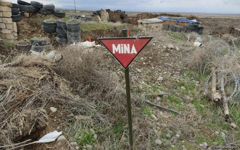 Azad edilən ərazilərdə 7 mina, 168 partlamamış hərbi sursat aşkarlanıb