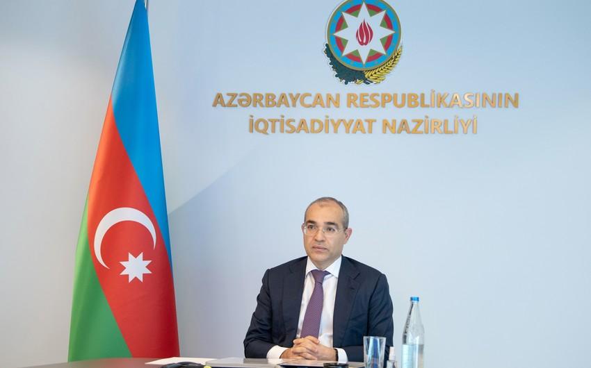 "Xidmət sektoruna investisiya qoyuluşu 27 faiz artıb" - Mikayıl Cabbarov