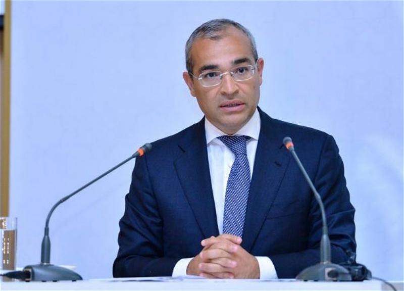 "Türkiyə şirkətləri işğaldan azad edilmiş ərazilərdə fəaldır" - Nazir
