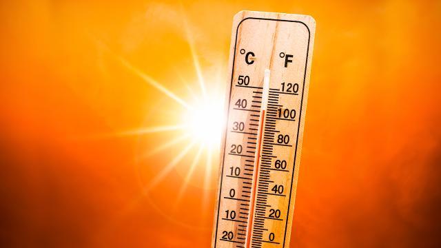 Hindistanda "yüksək temperatur" xəbərdarlığı