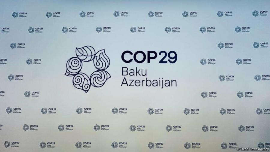 "COP29 bütün region üçün mühüm hadisədir" -  Veronika Baqi