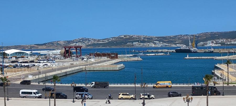Həm Afrika, həm Avropa -  İKİNCİ YAZI