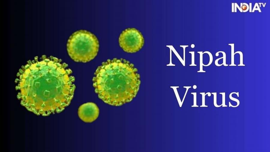 Hindistanda yeni epidemiya təhlükəsi