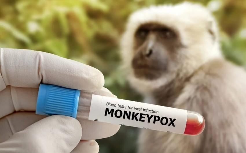 Niderland Afrikada meymunçiçəyi ilə mübarizəyə 3 milyon avro ayırıb
