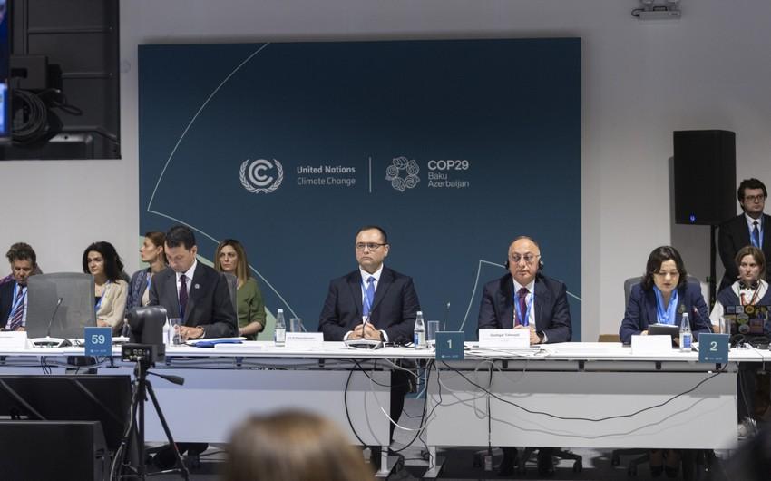 COP29 çərçivəsində Fermerlər üçün Bakı Harmoniya İqlim Təşəbbüsü elan edilib