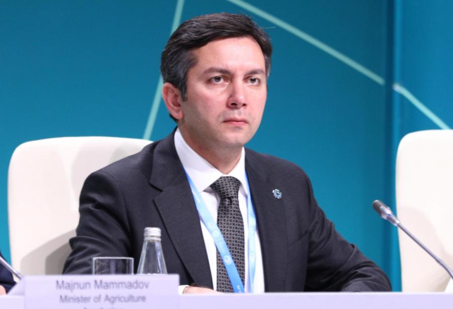 COP29-un baş danışıqçısı: Təklif olunan məbləğə bir daha baxılacaq
