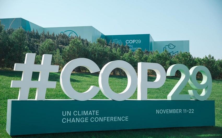 COP29 komandası XI Nevski Beynəlxalq Ekoloji Konqresində iştirak edəcək