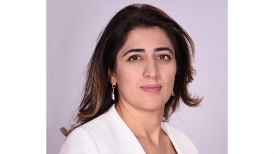 Naxçıvan şivələri haqqında dəyərli monoqrafiya