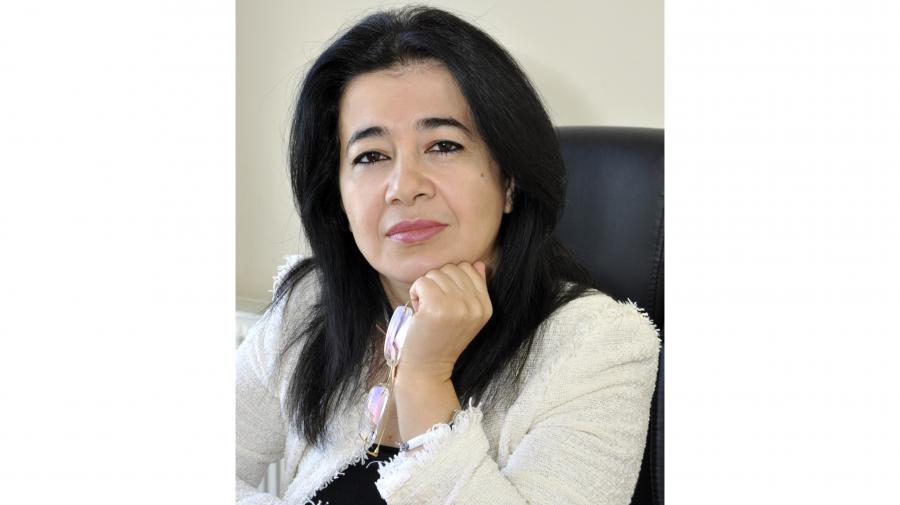 Dilin yükü və mülkü -  Könül Bünyadzadə yazır