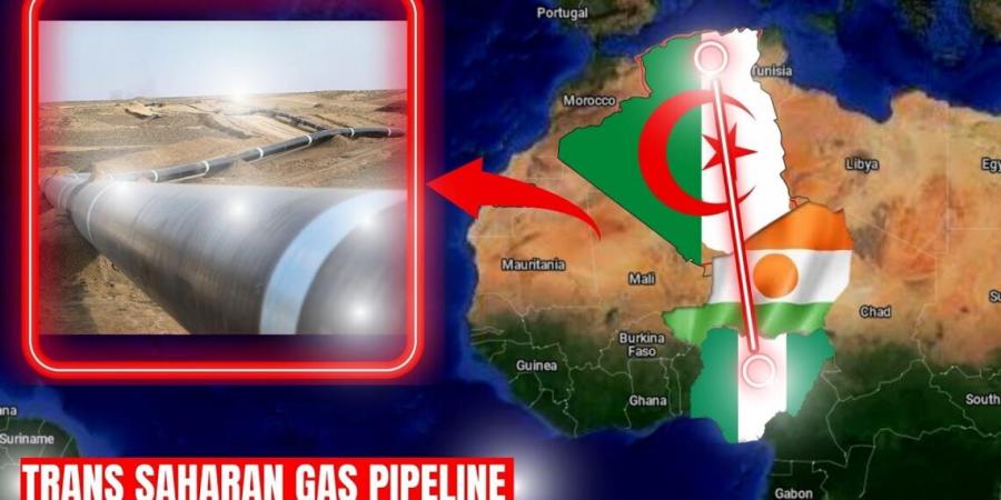 Trans-Sahara qaz boru kəməri ilə bağlı yeni müqavilələr imzalanıb