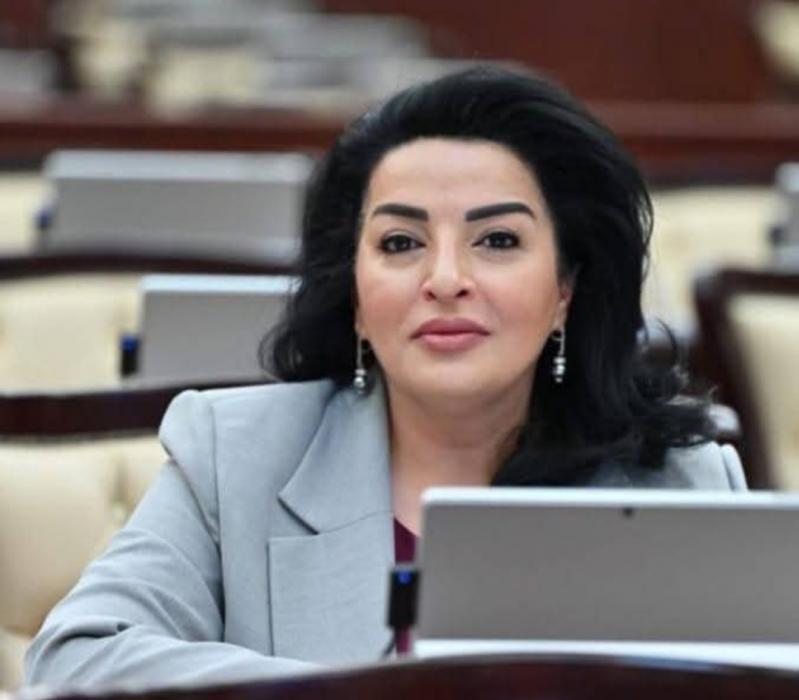 "Azərbaycan-Somali təmaslarının artması əməkdaşlıq perspektivlərinin müzakirəsində faydalı rol oynayır" -  Millət vəkili